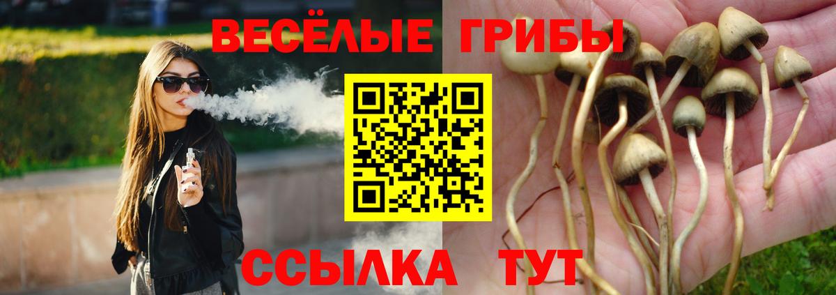 Галлюциногенные грибы Magic Shrooms Мценск
